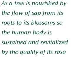 As a tree is nourished by the flow of sap from its roots to its blossoms so the human body is sustained and revitalized by the quality of its rasa
